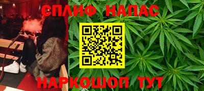 тгк Пугачёв