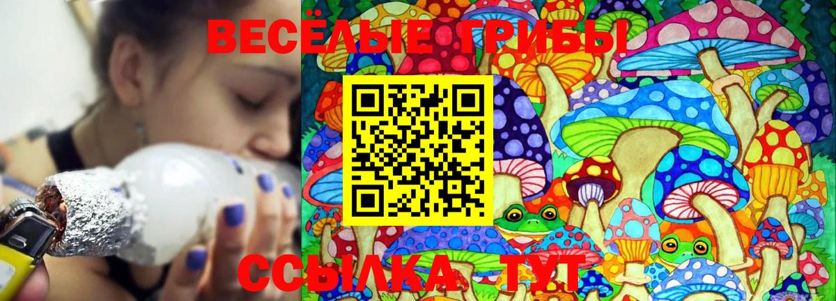 Ревда  Галлюциногенные грибы Magic Shrooms  Вход с VPN 